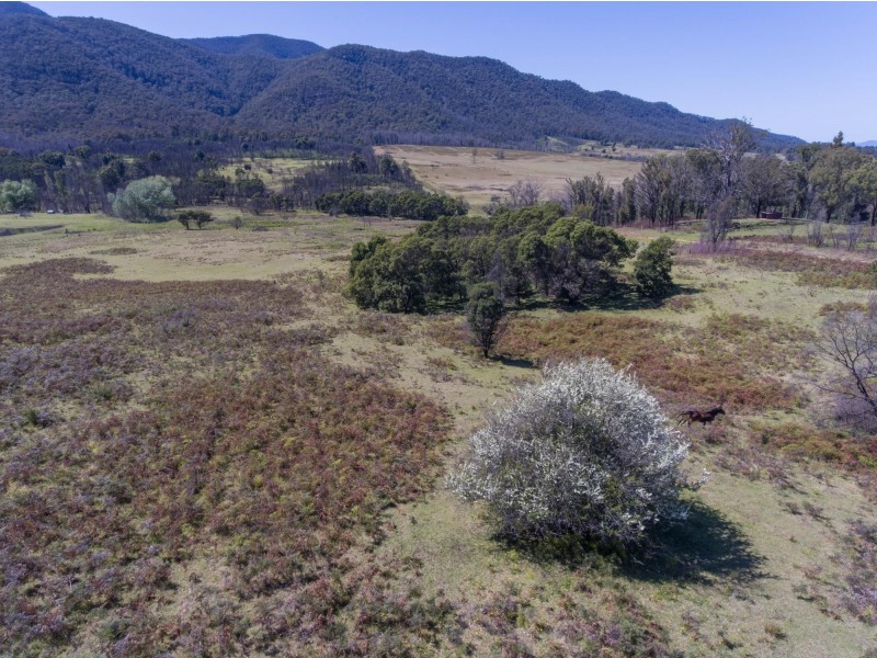494 Yankees Gap Road, Bemboka NSW 2550