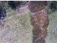 494 Yankees Gap Road, Bemboka NSW 2550