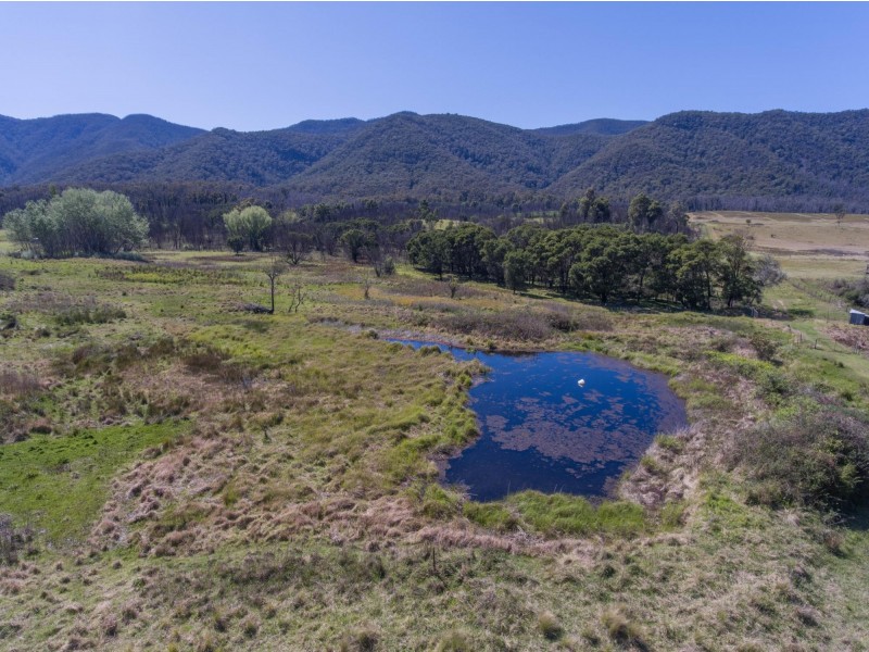 494 Yankees Gap Road, Bemboka NSW 2550