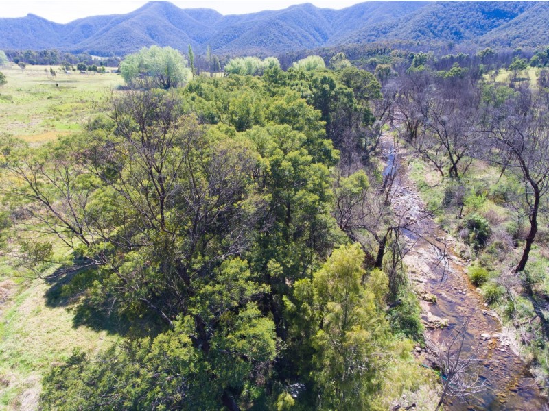 494 Yankees Gap Road, Bemboka NSW 2550