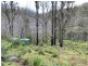 3000 Mount Darragh Road, Wyndham NSW 2550