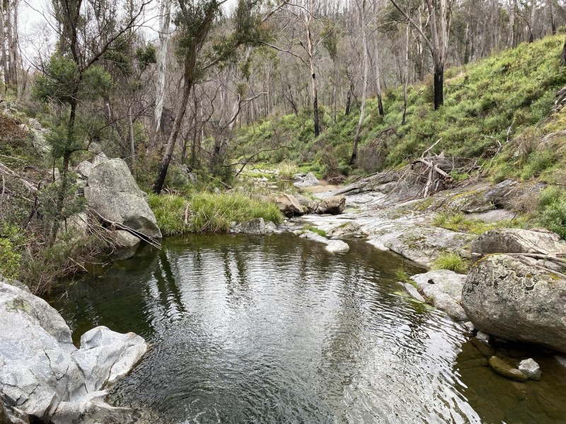 3000 Mount Darragh Road, Wyndham NSW 2550