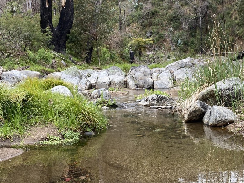 3000 Mount Darragh Road, Wyndham NSW 2550