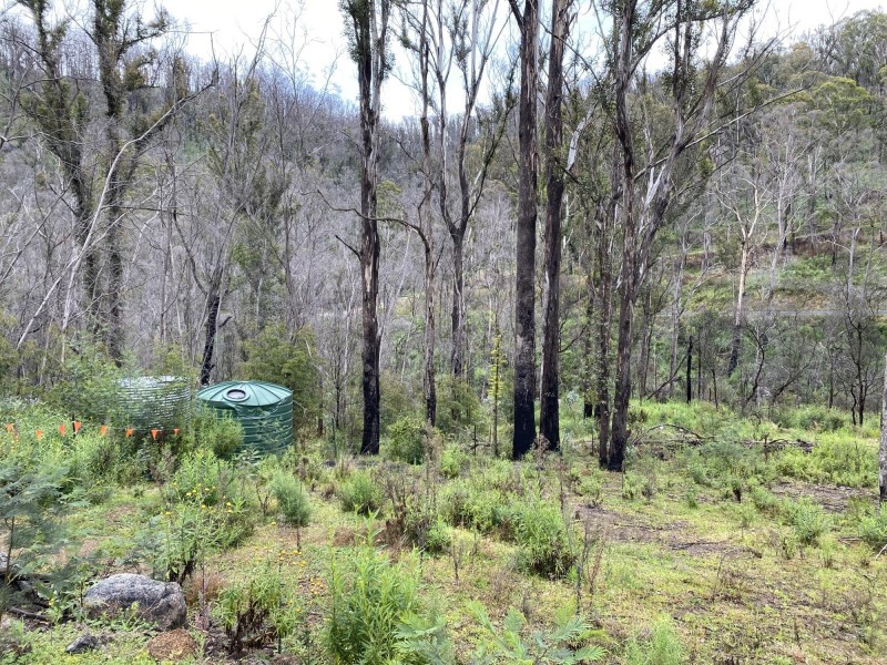 3000 Mount Darragh Road, Wyndham NSW 2550