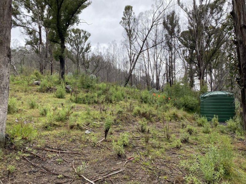 3000 Mount Darragh Road, Wyndham NSW 2550