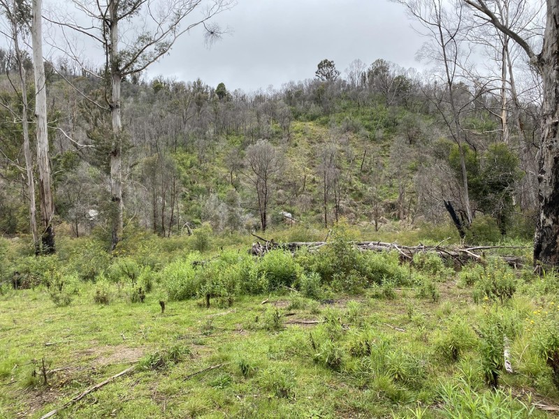 3000 Mount Darragh Road, Wyndham NSW 2550