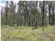 1949 Upper Brogo Road, Brogo NSW 2550
