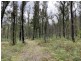 1949 Upper Brogo Road, Brogo NSW 2550