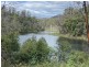 1949 Upper Brogo Road, Brogo NSW 2550