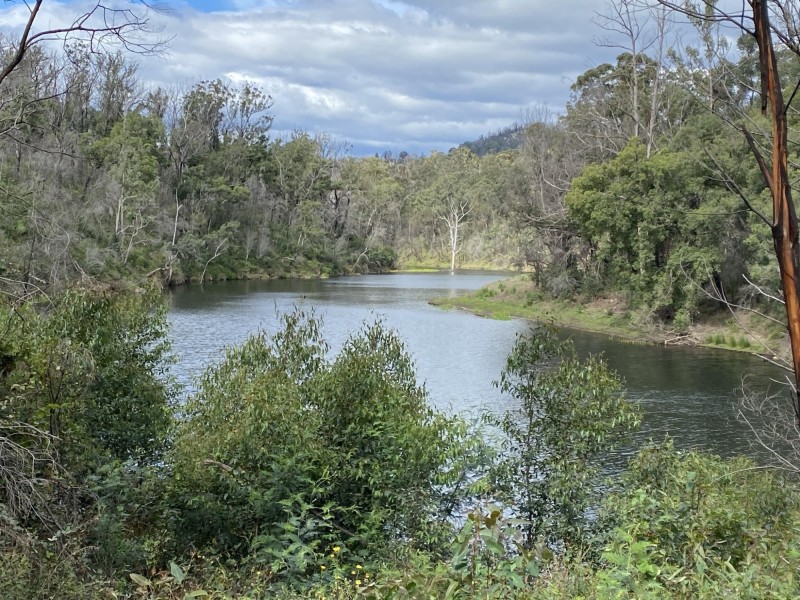 1949 Upper Brogo Road, Brogo NSW 2550