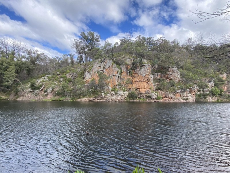 1949 Upper Brogo Road, Brogo NSW 2550