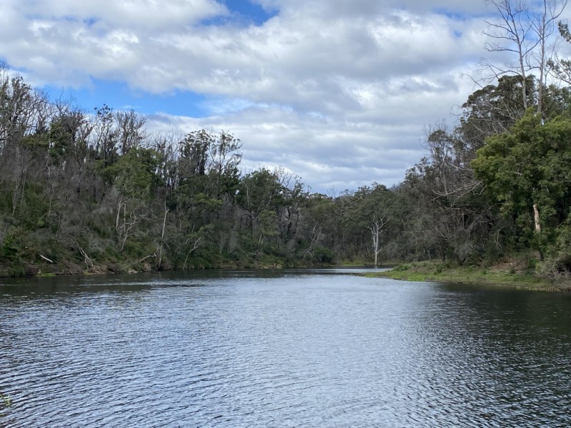 1949 Upper Brogo Road, Brogo NSW 2550