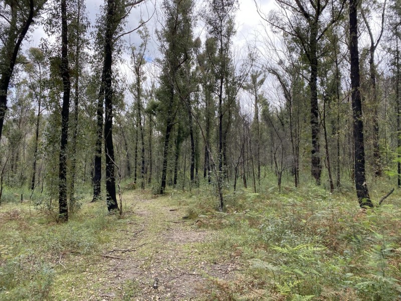 1949 Upper Brogo Road, Brogo NSW 2550