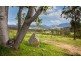 160 Orchard Road, Rocky Hall NSW 2550