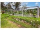 160 Orchard Road, Rocky Hall NSW 2550