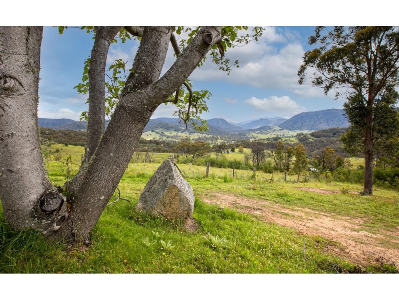 160 Orchard Road, Rocky Hall NSW 2550