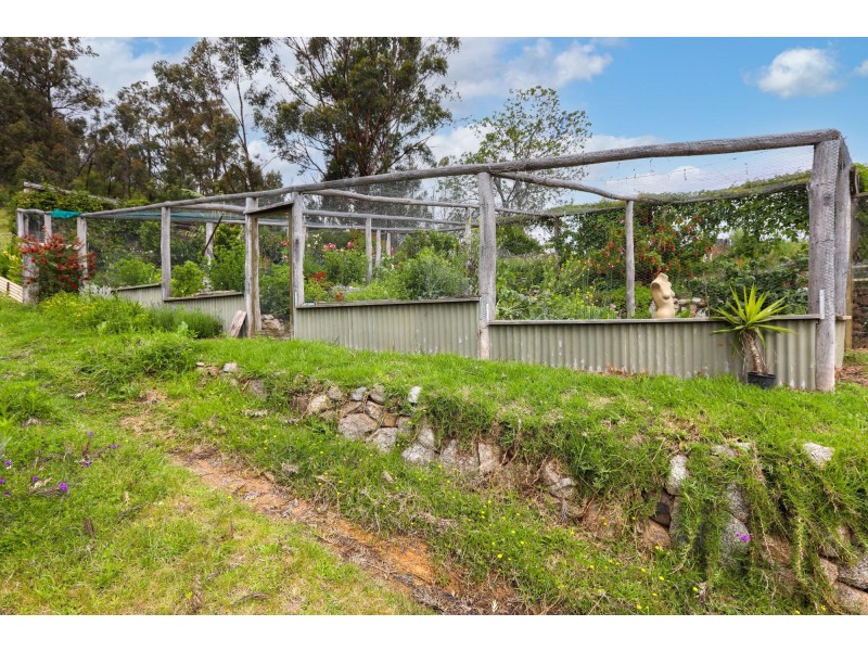 160 Orchard Road, Rocky Hall NSW 2550