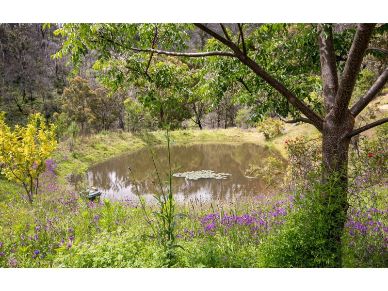 160 Orchard Road, Rocky Hall NSW 2550