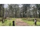 Lot D/650 Yankees Gap Road, Bemboka NSW 2550