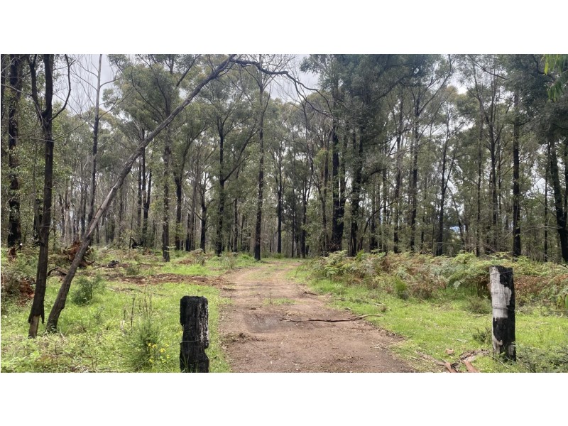 Lot D/650 Yankees Gap Road, Bemboka NSW 2550