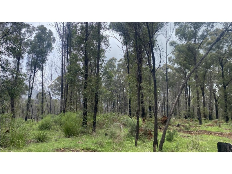 Lot D/650 Yankees Gap Road, Bemboka NSW 2550