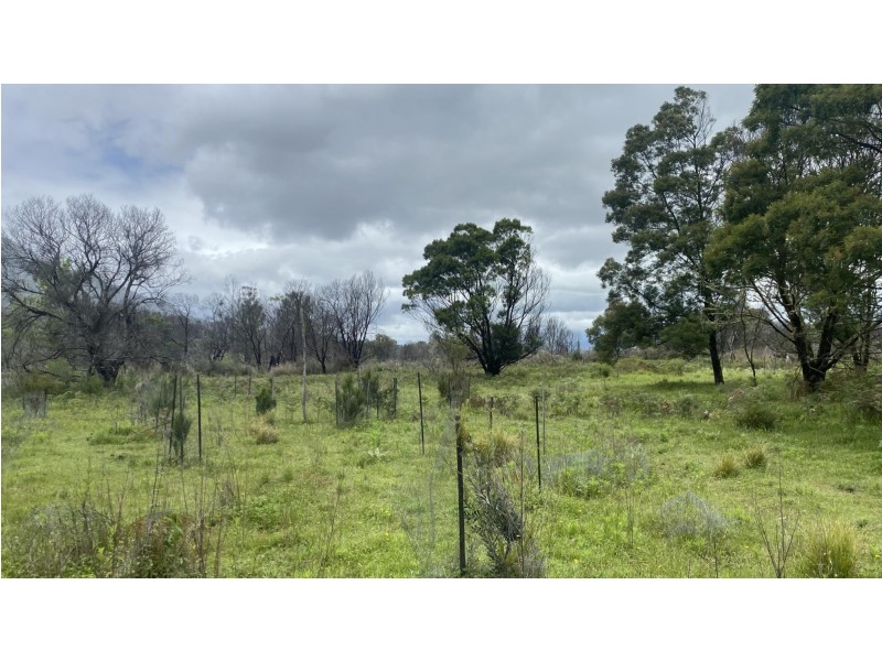 Lot D/650 Yankees Gap Road, Bemboka NSW 2550