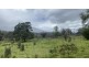 Lot D/650 Yankees Gap Road, Bemboka NSW 2550