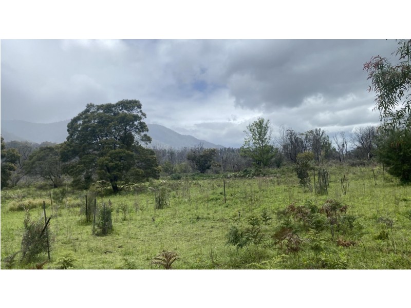 Lot D/650 Yankees Gap Road, Bemboka NSW 2550