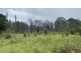 Lot D/650 Yankees Gap Road, Bemboka NSW 2550