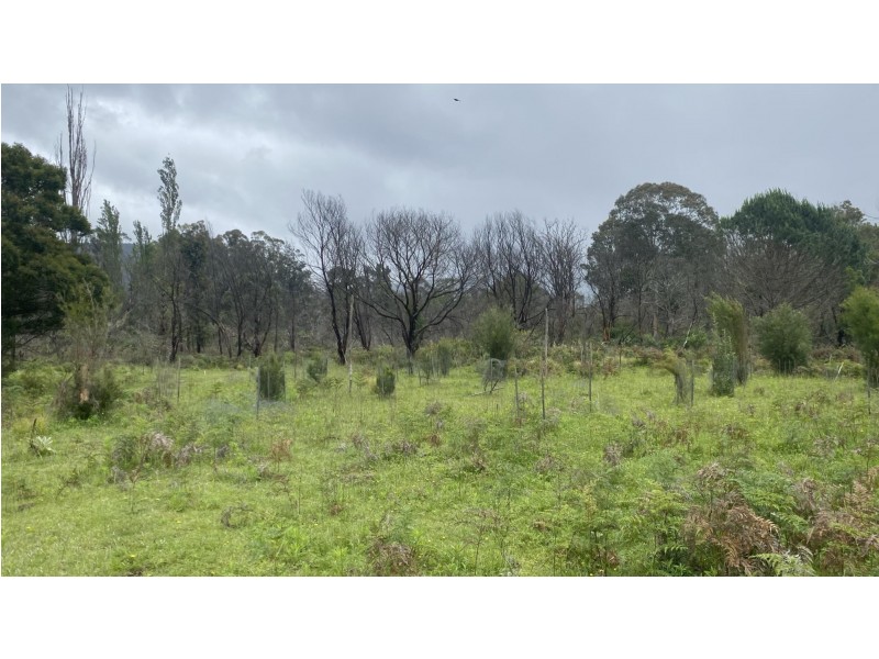 Lot D/650 Yankees Gap Road, Bemboka NSW 2550