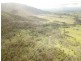 Lot D/650 Yankees Gap Road, Bemboka NSW 2550