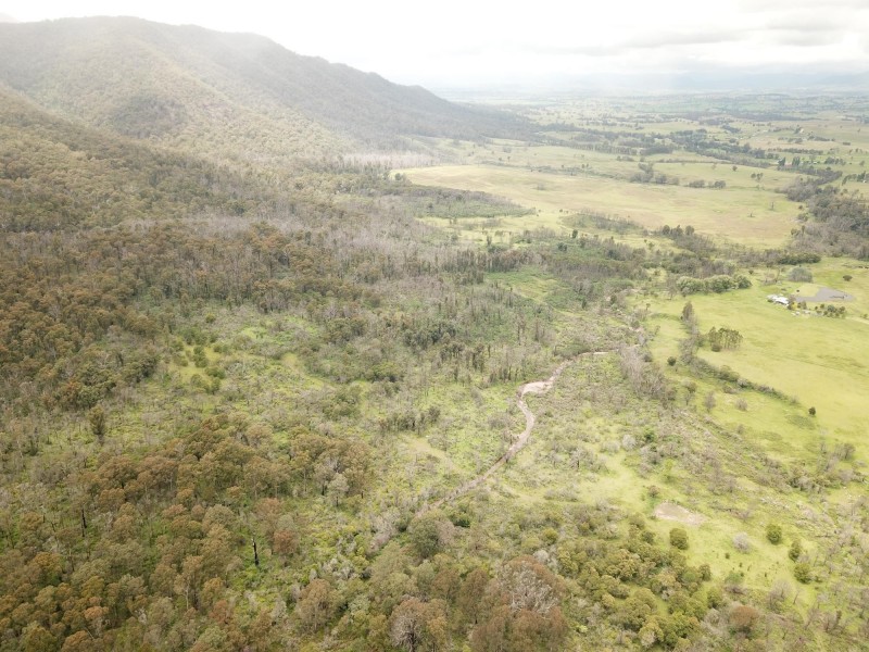 Lot D/650 Yankees Gap Road, Bemboka NSW 2550