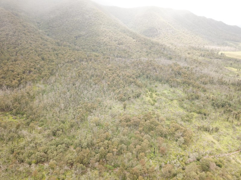 Lot D 650 Yankees Gap Road, Bemboka NSW 2550