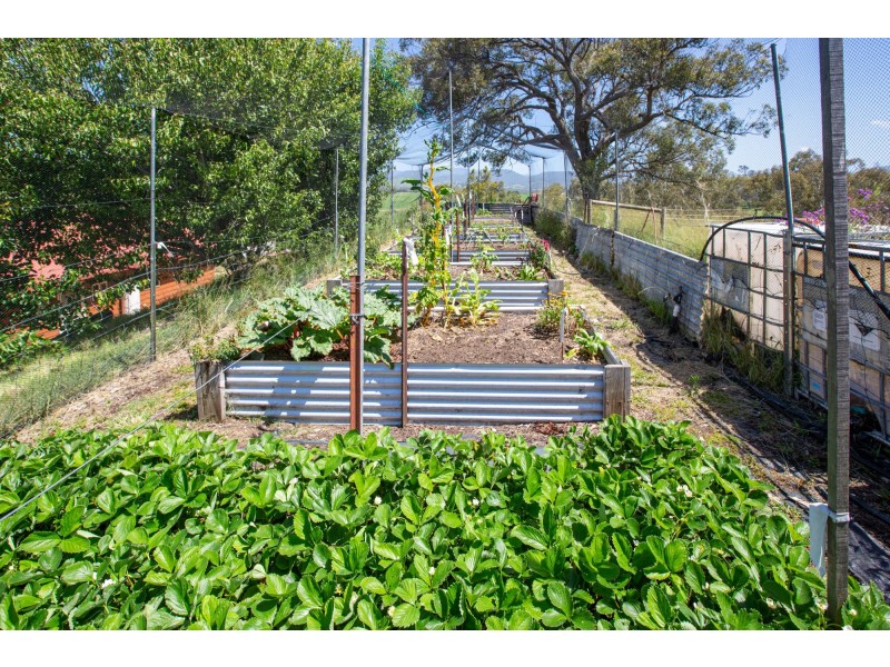 102 Niagara Lane, Tantawangalo NSW 2550