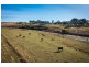 789 Candelo Wolumla Road, Toothdale NSW 2550