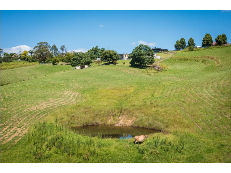 42 Mount Pleasant Road, Bega NSW 2550