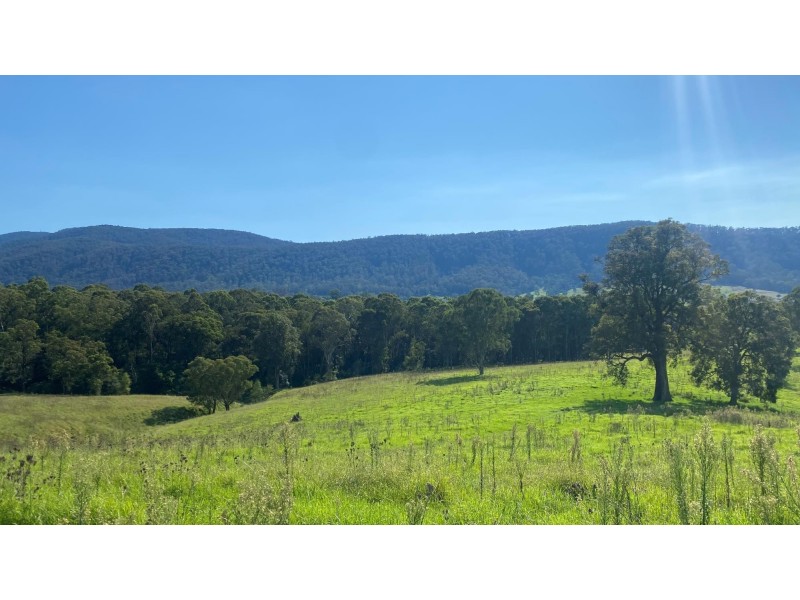 Lot D 1089 Greendale Road, Bega NSW 2550