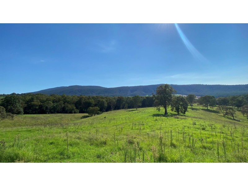 Lot D 1089 Greendale Road, Bega NSW 2550