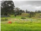 14 Bermaguee Street, Quaama NSW 2550