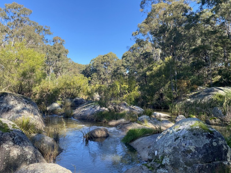 31 Moorlands Lane, Bega NSW 2550