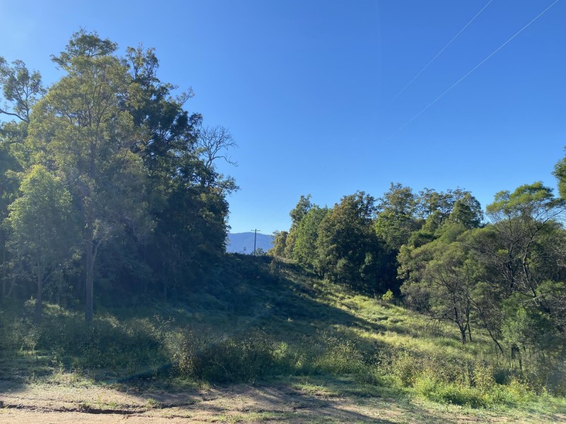 535 Hawks Head Road, Brogo NSW 2550