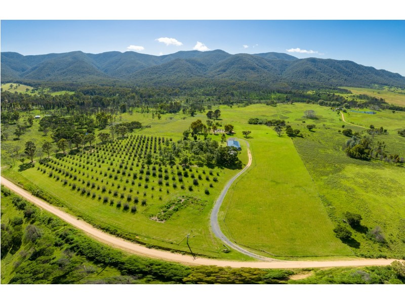 572 Yankees Gap Road, Bemboka NSW 2550