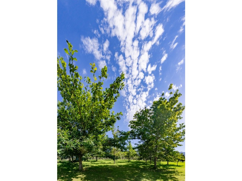 572 Yankees Gap Road, Bemboka NSW 2550