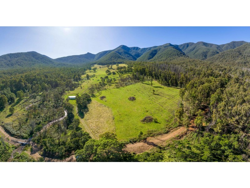 27 Yankees Gap Road Fire Trail, Bemboka NSW 2550