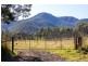 27 Yankees Gap Road Fire Trail, Bemboka NSW 2550