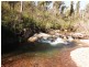 484 Murrabrine Forest Road, Yowrie NSW 2550