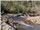 484 Murrabrine Forest Road, Yowrie NSW 2550