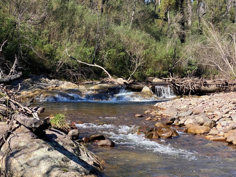 484 Murrabrine Forest Road, Yowrie NSW 2550