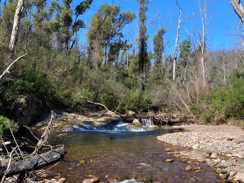 484 Murrabrine Forest Road, Yowrie NSW 2550