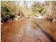 484 Murrabrine Forest Road, Yowrie NSW 2550